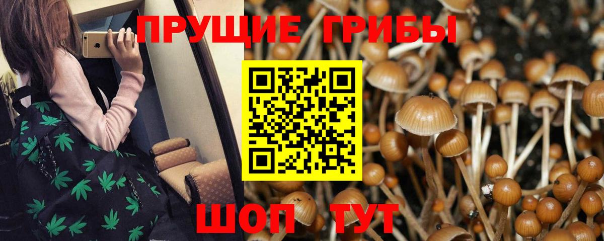 Псилоцибиновые грибы MAGIC MUSHROOMS  Вход с VPN  Галлюциногенные грибы прущие грибы  Трёхгорный 