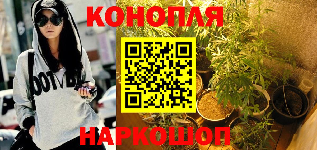 Бошки Шишки гибрид Трёхгорный